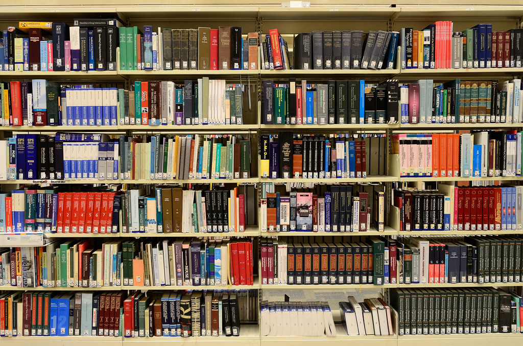 Best areas in London for international students: a neighbourhood guide